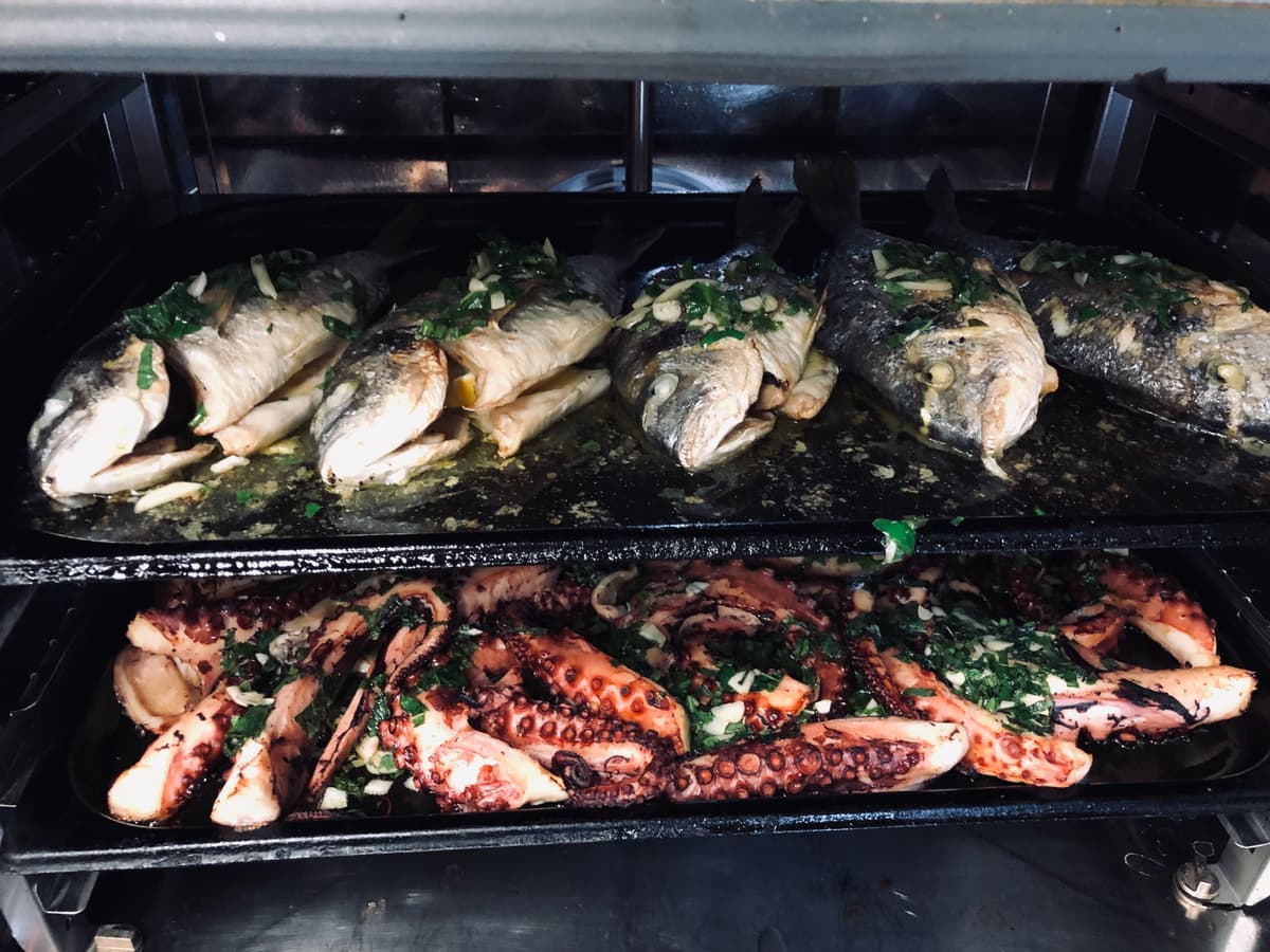 ryby konvektomat.jpg